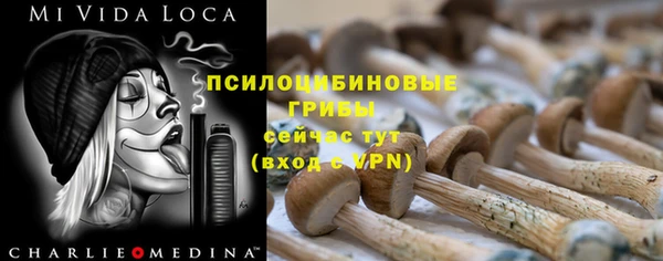кокс Алексеевка