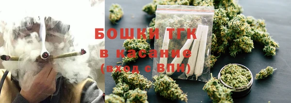 молекула духа Ладушкин