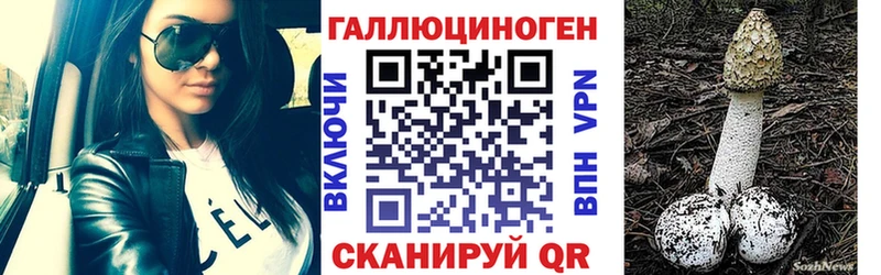Псилоцибиновые грибы Psilocybine cubensis  магазин продажи наркотиков  Цимлянск 